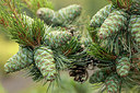BUITEN BEELD Foto: 299301