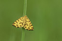 BUITEN BEELD Foto: 299306
