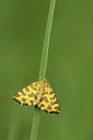 BUITEN BEELD Foto: 299307
