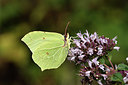 BUITEN BEELD Foto: 299323