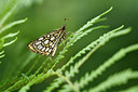 BUITEN BEELD Foto: 299334