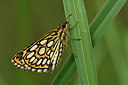 BUITEN BEELD Foto: 299340