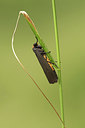 BUITEN BEELD Foto: 299403
