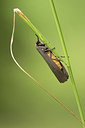 BUITEN BEELD Foto: 299404