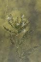 BUITEN BEELD Foto: 299434