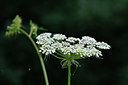 BUITEN BEELD Foto: 299441