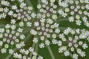 BUITEN BEELD Foto: 299442