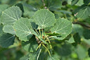 BUITEN BEELD Foto: 299445