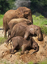 BUITEN BEELD Foto: 299455