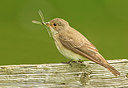 BUITEN BEELD Foto: 299478
