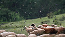 BUITEN BEELD Foto: 299479