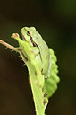 BUITEN BEELD Foto: 299486