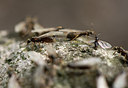 BUITEN BEELD Foto: 299544