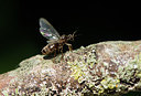 BUITEN BEELD Foto: 299547