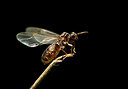 BUITEN BEELD Foto: 299548