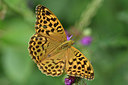 BUITEN BEELD Foto: 299578
