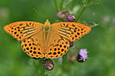 BUITEN BEELD Foto: 299599