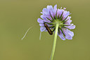 BUITEN BEELD Foto: 299617