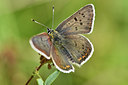 BUITEN BEELD Foto: 299630