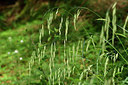 BUITEN BEELD Foto: 299667