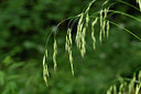 BUITEN BEELD Foto: 299668