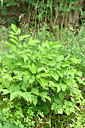 BUITEN BEELD Foto: 299696