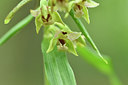 BUITEN BEELD Foto: 299704