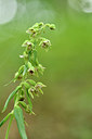 BUITEN BEELD Foto: 299705