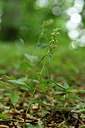 BUITEN BEELD Foto: 299706