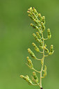 BUITEN BEELD Foto: 299716