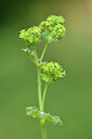 BUITEN BEELD Foto: 299721