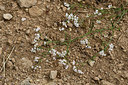 BUITEN BEELD Foto: 299722