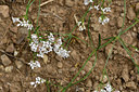 BUITEN BEELD Foto: 299723