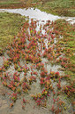 BUITEN BEELD Foto: 299733