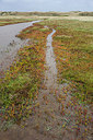 BUITEN BEELD Foto: 299739