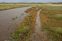 BUITEN BEELD Foto: 299740