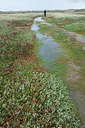 BUITEN BEELD Foto: 299742