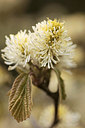 BUITEN BEELD Foto: 299748