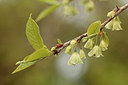 BUITEN BEELD Foto: 299760