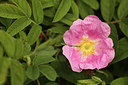 BUITEN BEELD Foto: 299762
