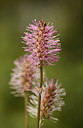 BUITEN BEELD Foto: 299779