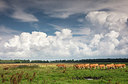 BUITEN BEELD Foto: 299824