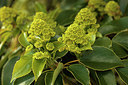 BUITEN BEELD Foto: 299866