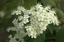 BUITEN BEELD Foto: 299870