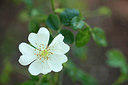 BUITEN BEELD Foto: 299923