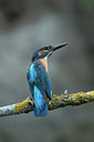 BUITEN BEELD Foto: 299945