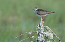 BUITEN BEELD Foto: 299974