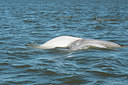 BUITEN BEELD Foto: 299992