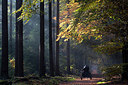 BUITEN BEELD Foto: 300107