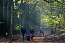 BUITEN BEELD Foto: 300109